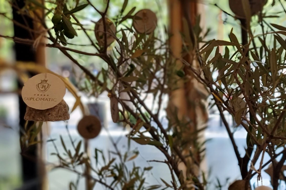 Diplomatic Hotel vive una bella Navidad sustentable