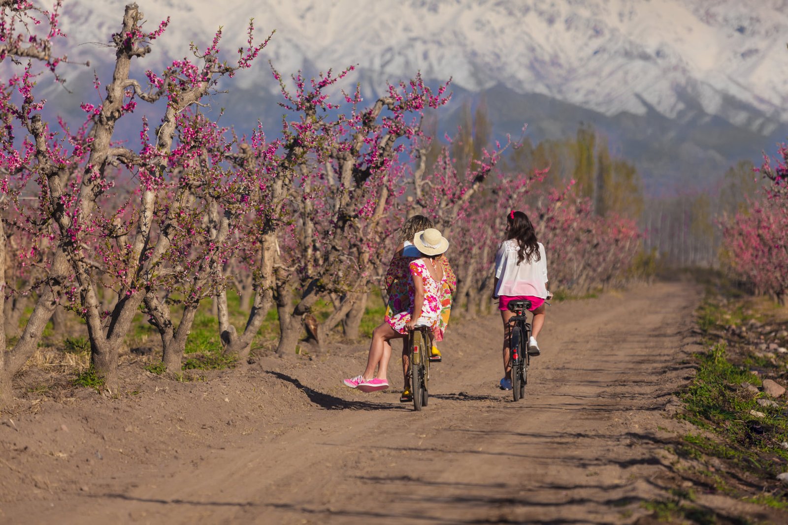 Cinco destinos que te harán disfrutar de la primavera