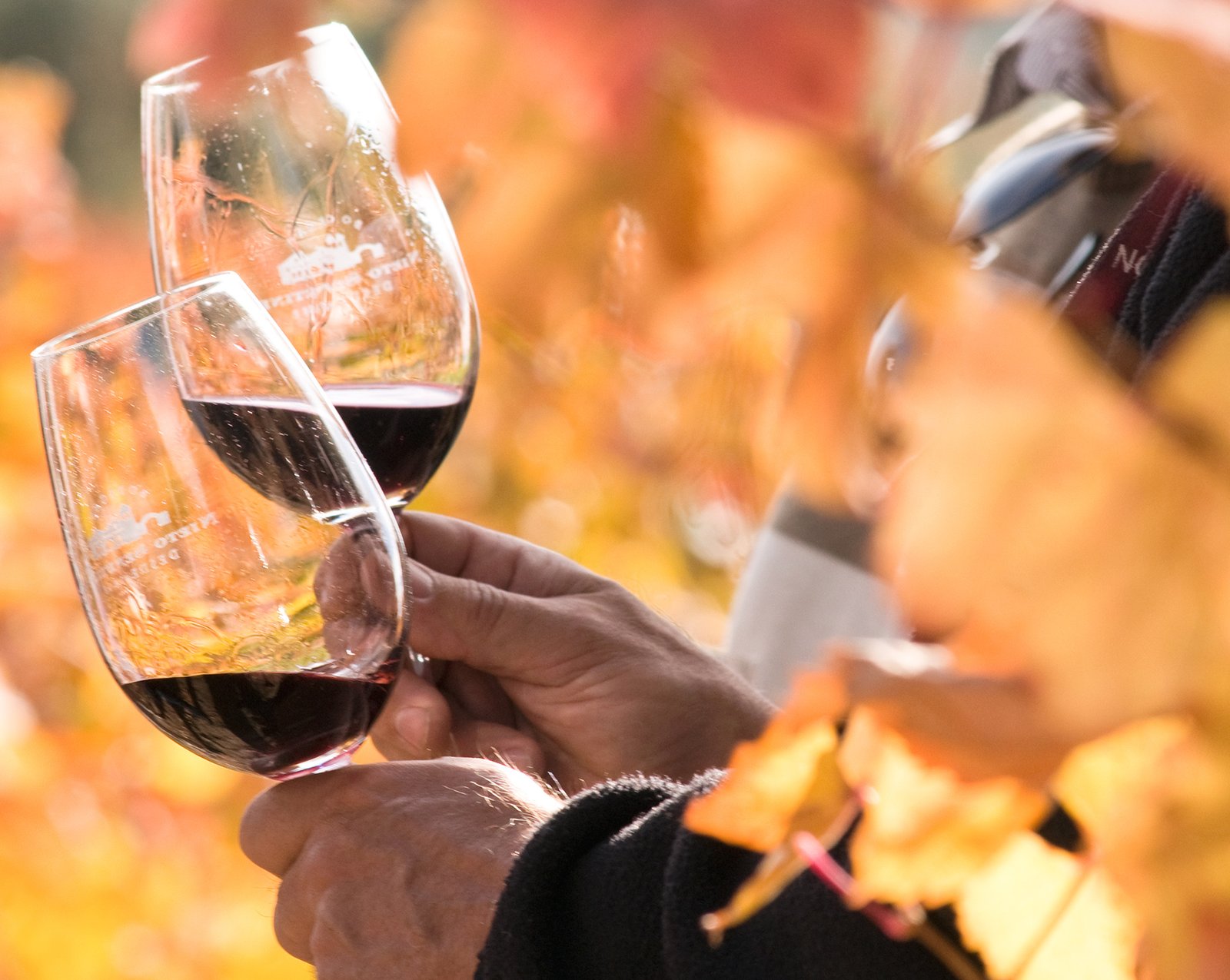 Mendoza celebra la Semana del Bonarda