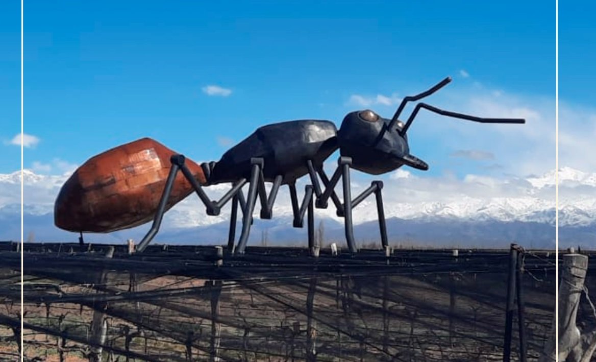 El Parque de Esculturas de Huentala Wines luce una nueva obra
