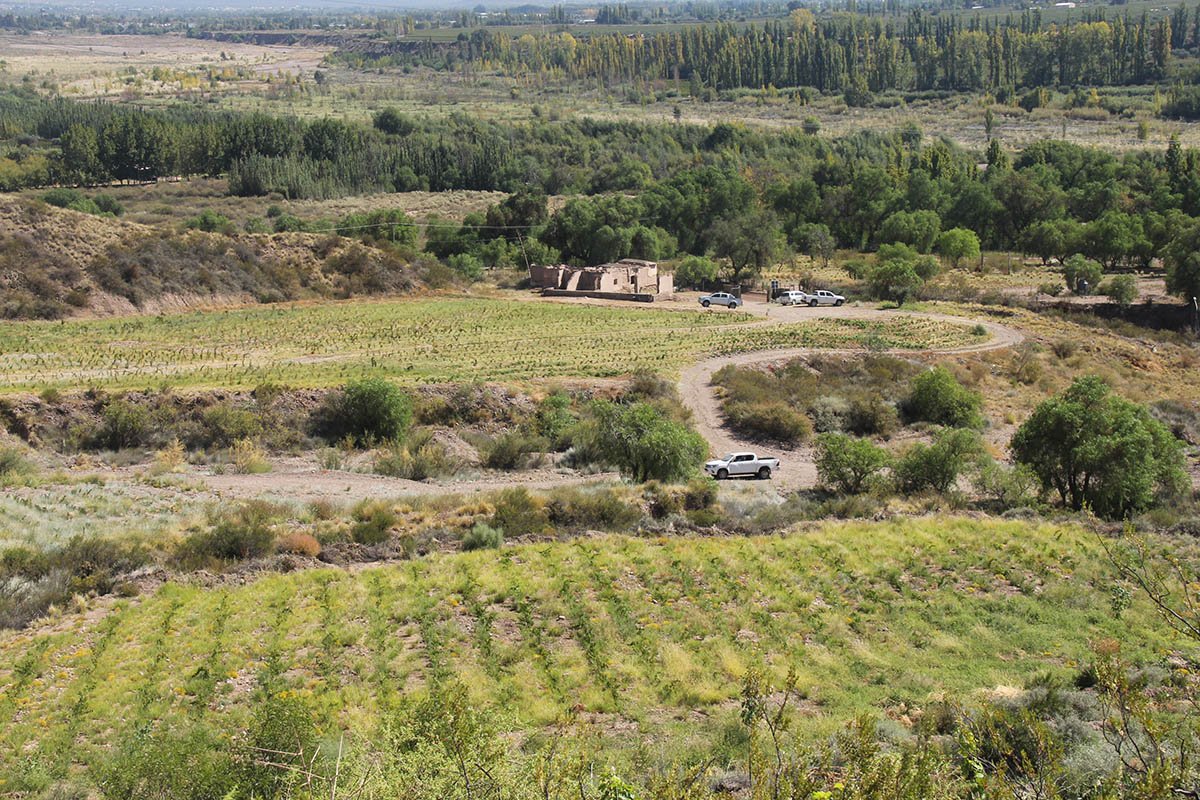 Nuevos proyectos que conjugan vino y turismo