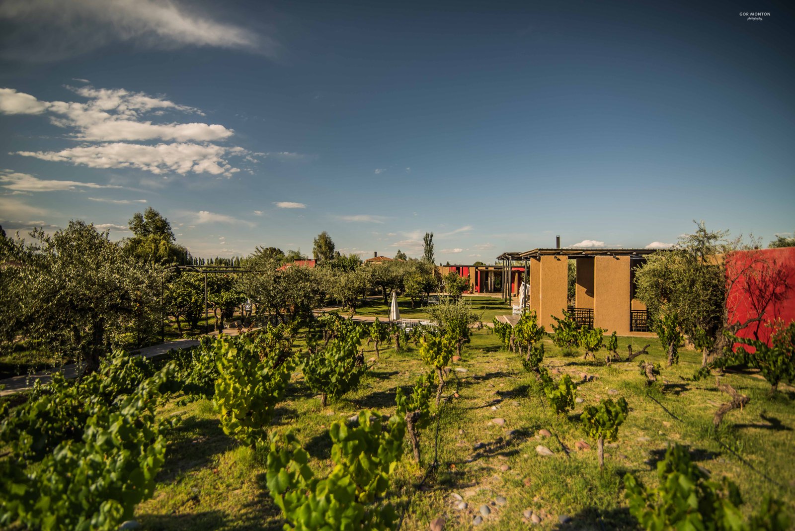 Cinco destinos que combinan a la perfección el vino y el senderismo