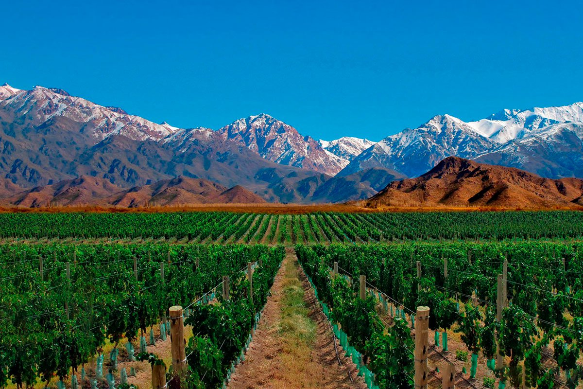 Mendoza entre los 10 destinos más buscados para vacacionar