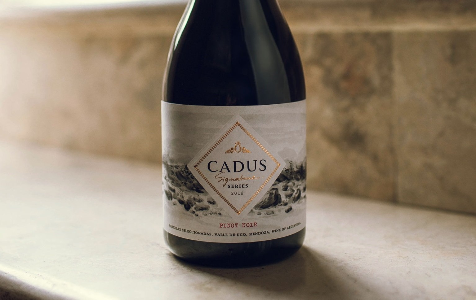 Qué tenés que saber para disfrutar de un buen Pinot Noir