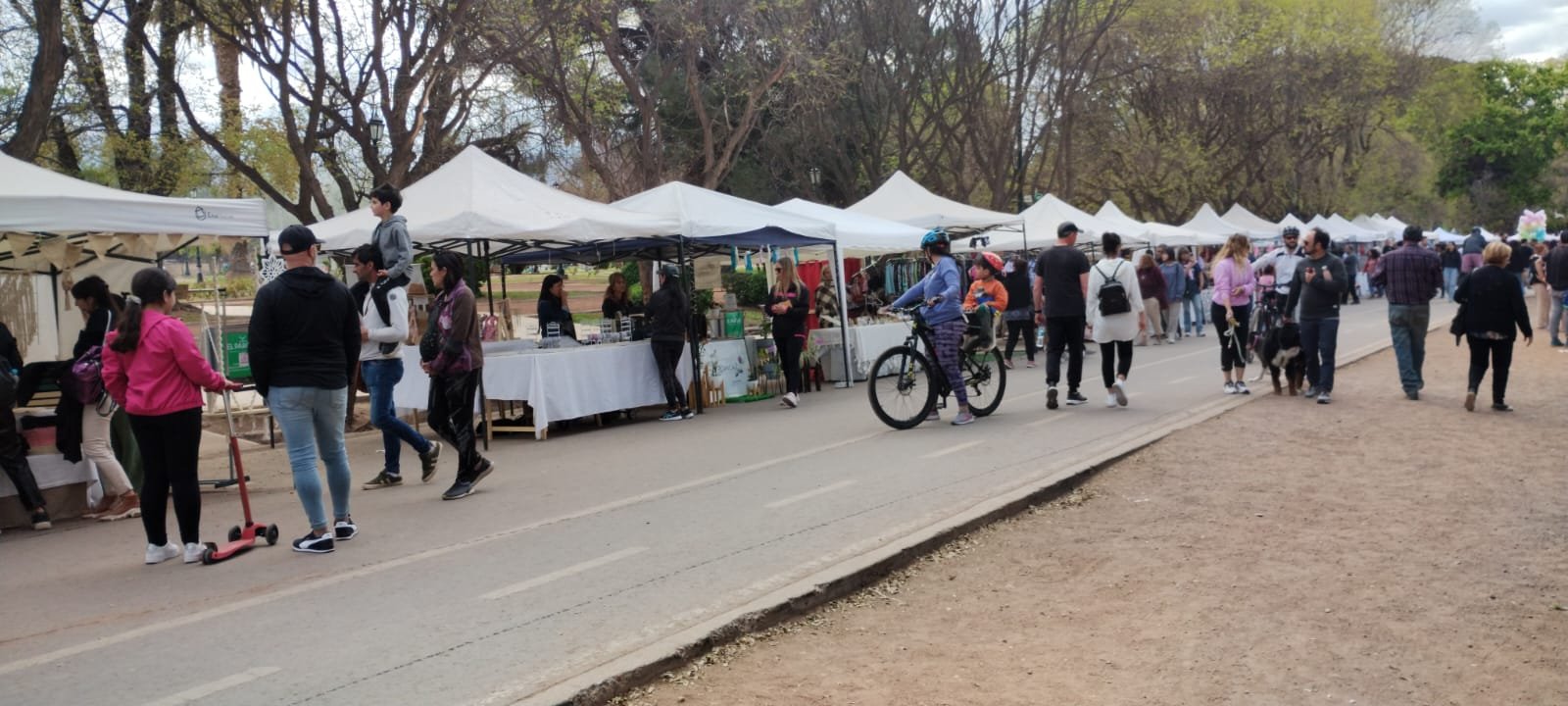 Expo picnic para celebrar la primavera en el Parque General San Martín