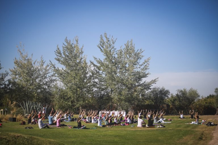 Yoga por los Caminos del Vino comienza su ciclo Primavera 2019