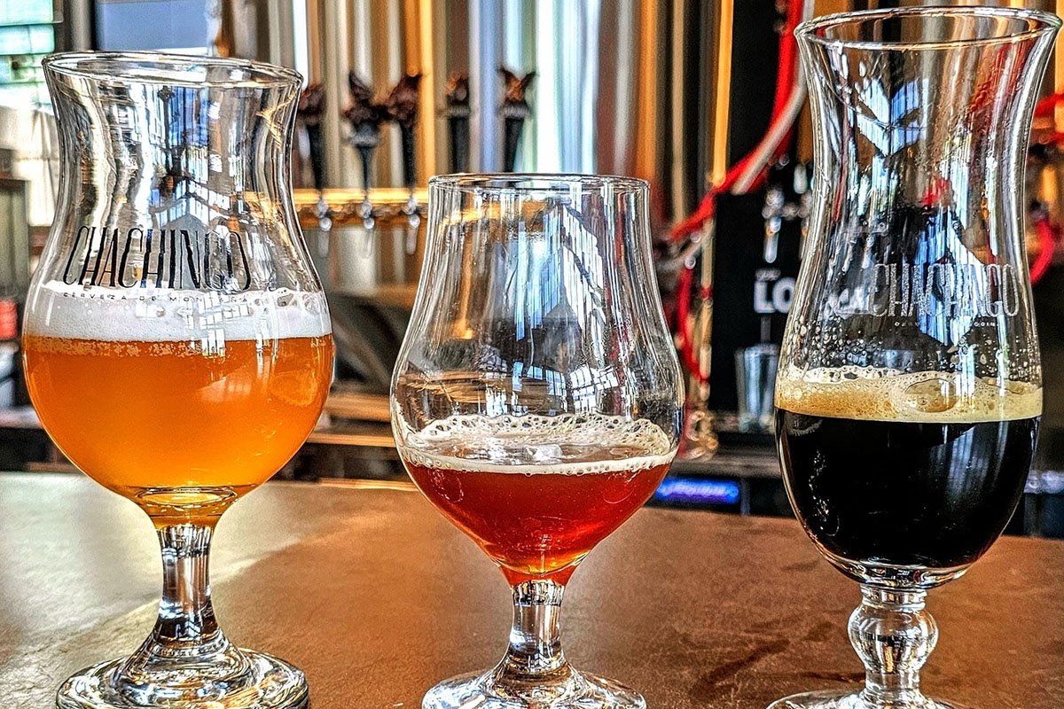 Deliciosas opciones de cerveza para disfrutar al máximo.